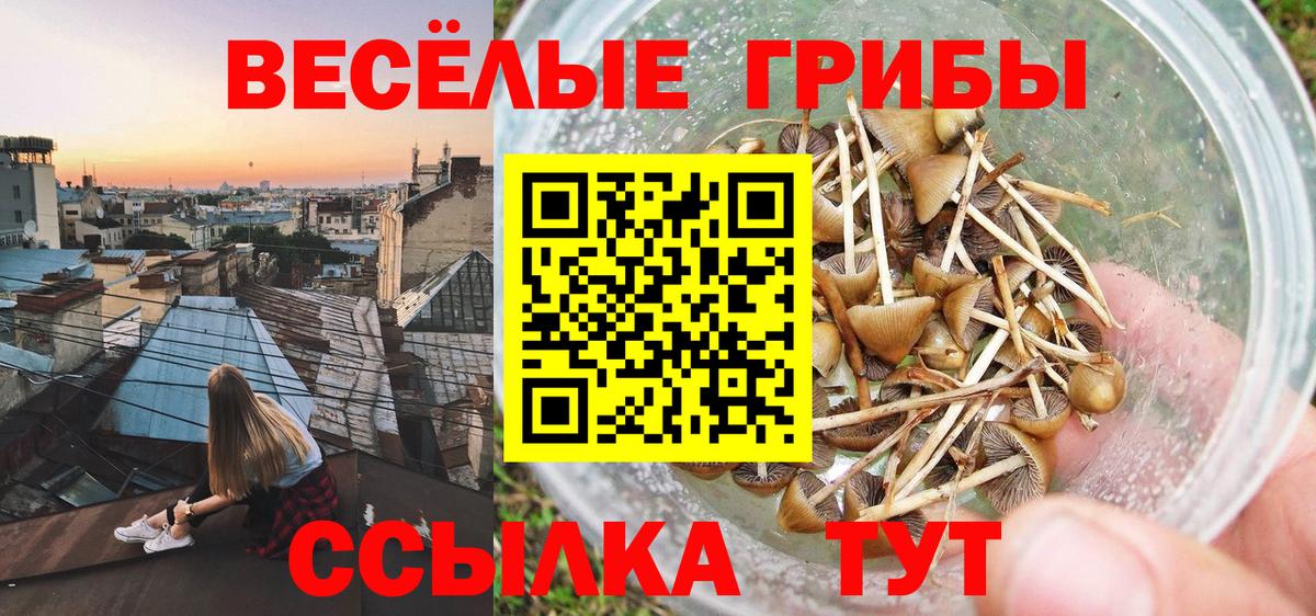 Псилоцибиновые грибы мицелий  Галлюциногенные грибы мицелий  Вход с VPN  Черногорск 